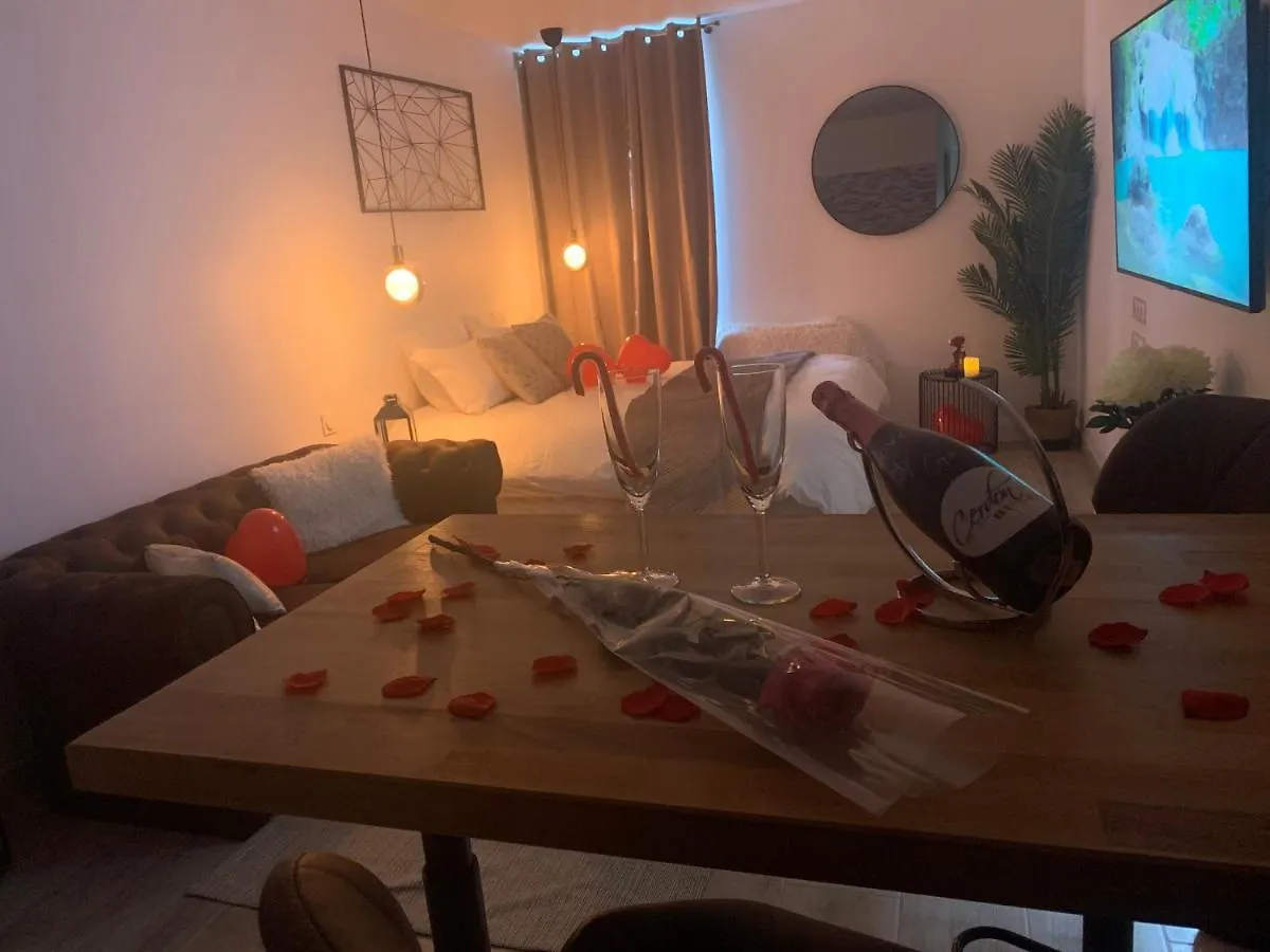 Apartment Superbe Appartement Prive Avec Jacuzzi Saint-Etienne