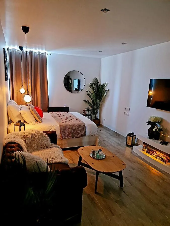 Apartment Superbe Appartement Prive Avec Jacuzzi Saint-Etienne  France